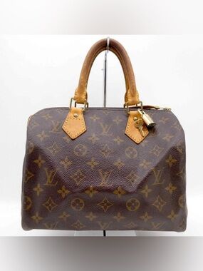 LOUIS VUITTON Speedy 25 Bag